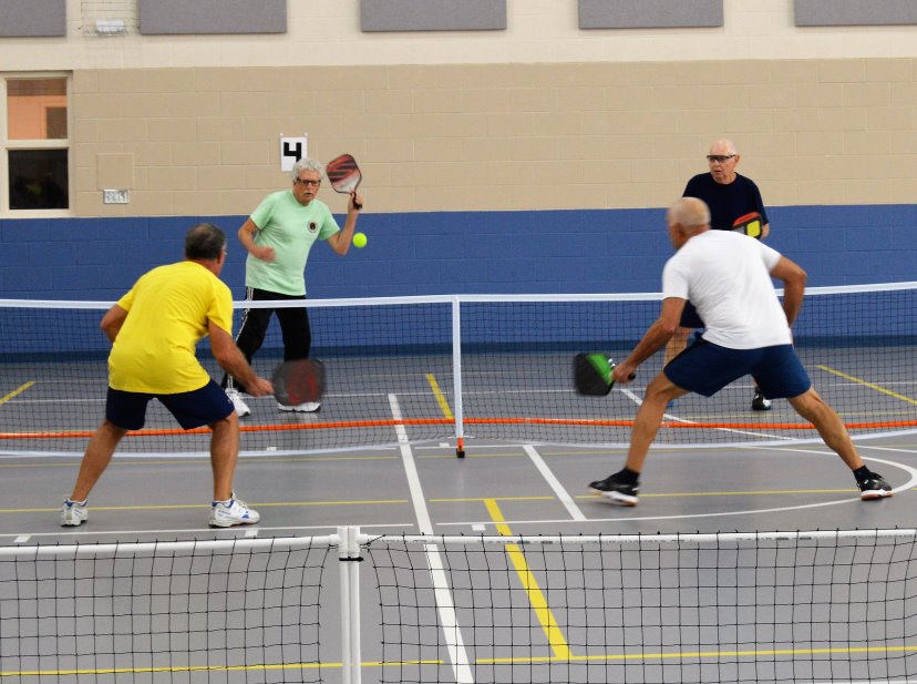 Laurel Indoor Pickleball Sessions